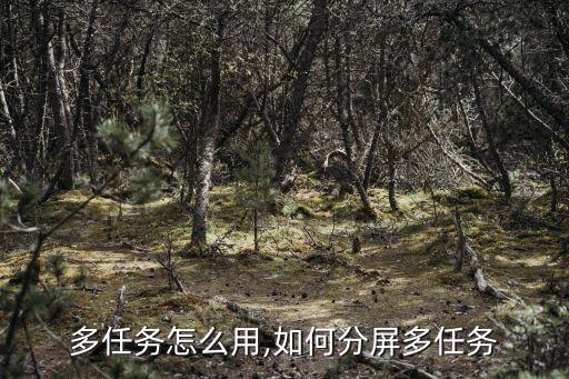 分屏多任务怎么用,如何分屏多任务?