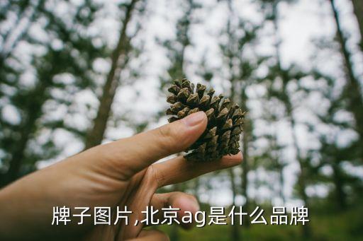 牌子图片,北京ag是什么品牌