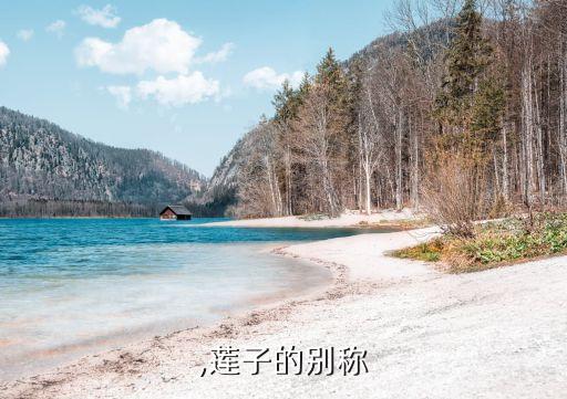 莲実,莲子的别称