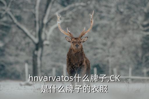 johnvarvatos什么牌子,CK是什么牌子的衣服?