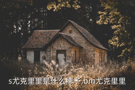 bws尤克里里是什么牌子,bm尤克里里