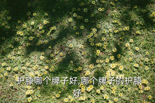 户外  护膝哪个牌子好,哪个牌子的护膝好?