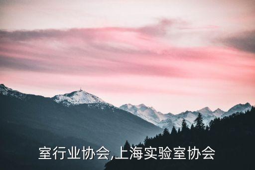 实验室行业协会,上海实验室协会