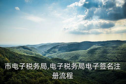 苏州市电子税务局,电子税务局电子签名注册流程