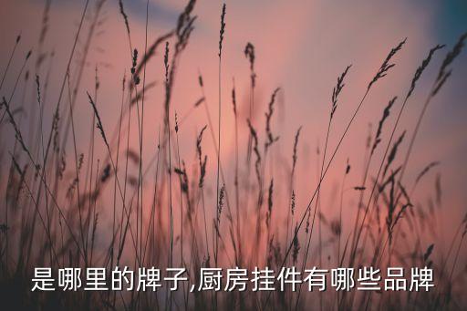 优勤是哪里的牌子,厨房挂件有哪些品牌?