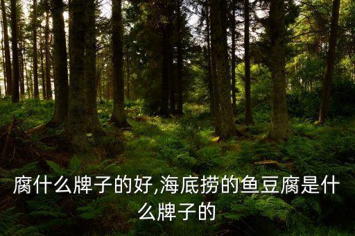 鱼豆腐什么牌子的好,海底捞的鱼豆腐是什么牌子的?