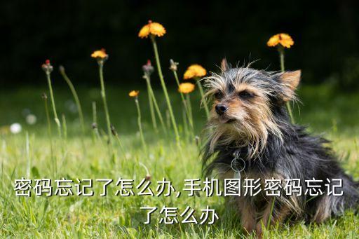 图形密码忘记了怎么办,手机图形密码忘记了怎么办