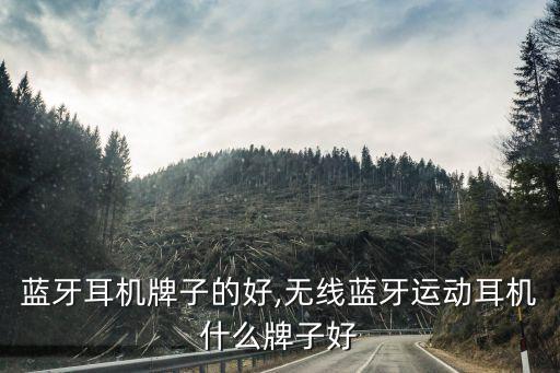 蓝牙耳机牌子的好,无线蓝牙运动耳机什么牌子好