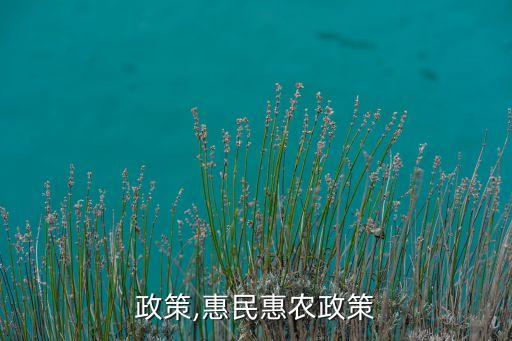 惠农政策,惠民惠农政策