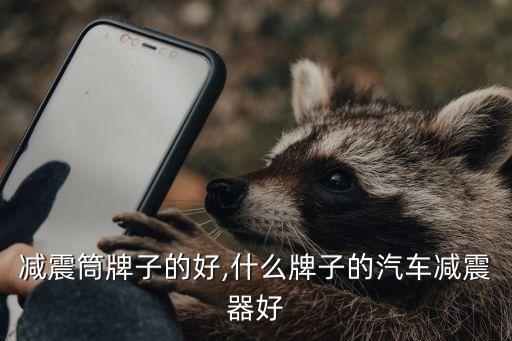 减震筒牌子的好,什么牌子的汽车减震器好