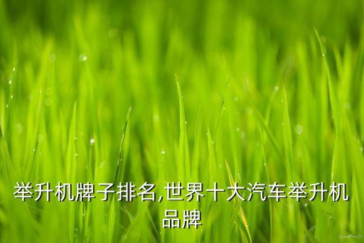 汽车举升机牌子排名,世界十大汽车举升机品牌