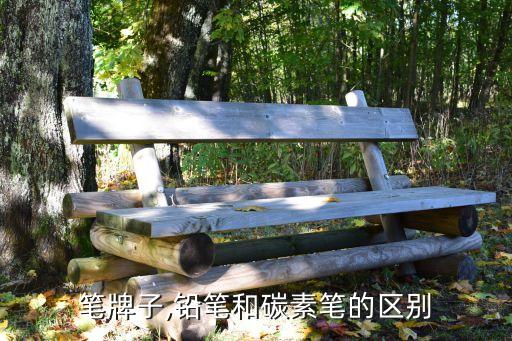 笔牌子,铅笔和碳素笔的区别