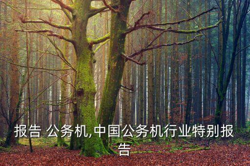 行业报告 公务机,中国公务机行业特别报告