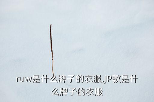 ruw是什么牌子的衣服,JP敦是什么牌子的衣服