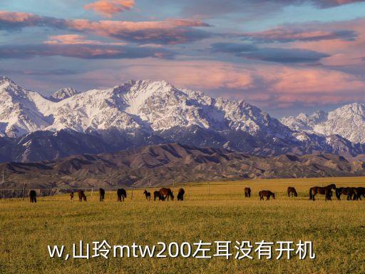 mtw,山玲mtw200左耳没有开机