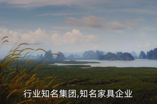 行业知名集团,知名家具企业