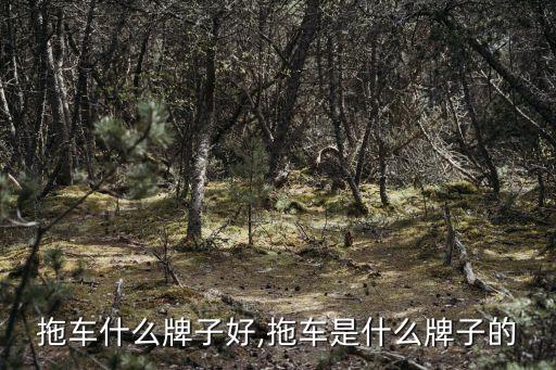 购物拖车什么牌子好,拖车是什么牌子的?