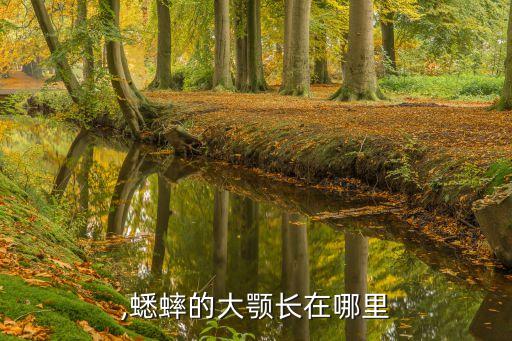 大颚,蟋蟀的大颚长在哪里?