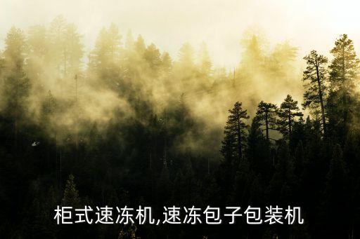 包子柜式速冻机,速冻包子包装机