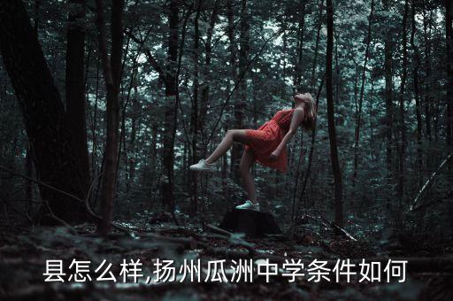 县怎么样,扬州瓜洲中学条件如何