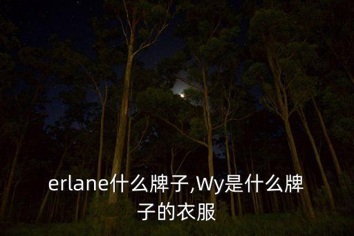 erlane什么牌子,Wy是什么牌子的衣服