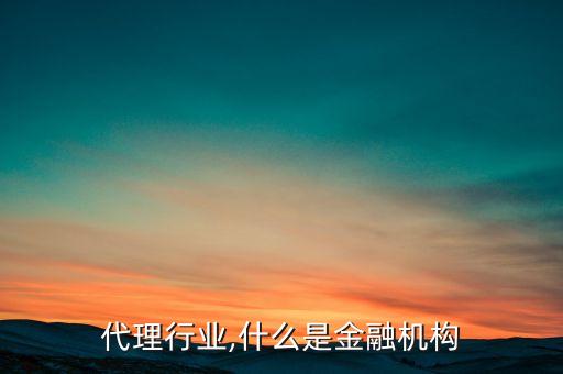 财务代理行业,什么是金融机构?