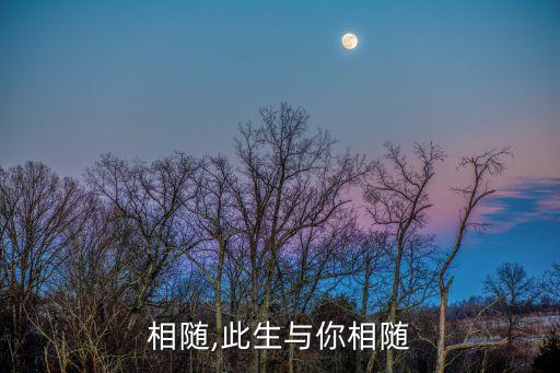 与你相随,此生与你相随