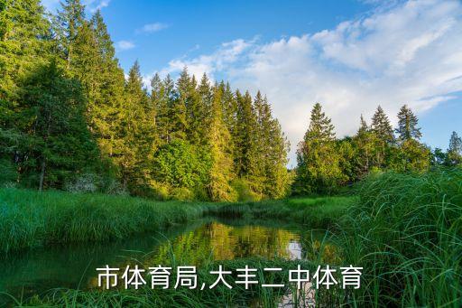 市体育局,大丰二中体育
