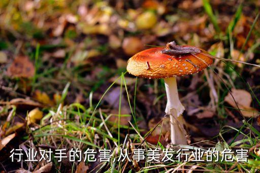 美发行业对手的危害,从事美发行业的危害