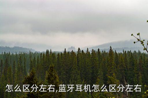 耳机怎么区分左右,蓝牙耳机怎么区分左右
