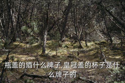 瓶盖的酒什么牌子,皇冠盖的杯子是什么牌子的