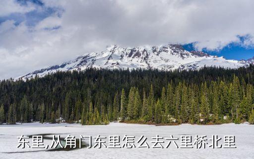 角门东里,从角门东里怎么去六里桥北里?
