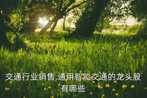 智能交通行业销售,通用智能交通的龙头股有哪些?