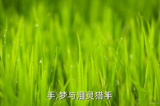 手,梦与泪灵猎手