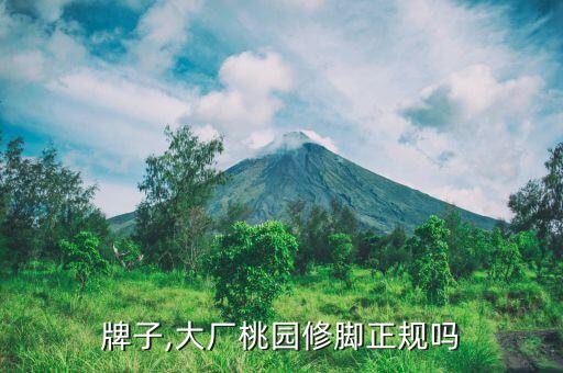 桃源牌子,大厂桃园修脚正规吗?