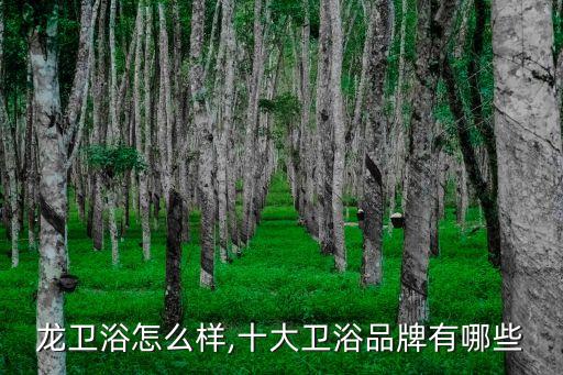 帝富龙卫浴怎么样,十大卫浴品牌有哪些?
