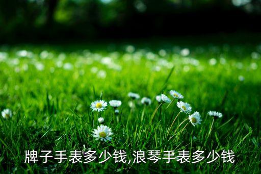 牌子手表多少钱,浪琴手表多少钱
