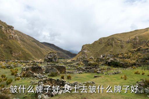 女抗皱什么牌子好,女士去皱什么牌子好?