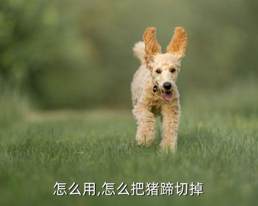 怎么用,怎么把猪蹄切掉