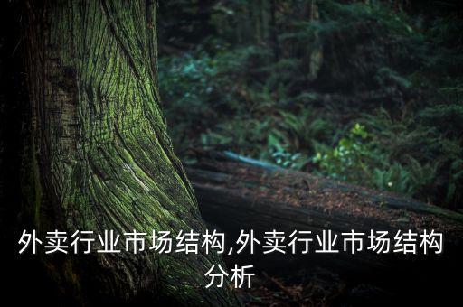 我国外卖行业市场结构,外卖行业市场结构分析