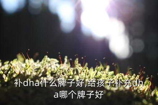 小孩补dha什么牌子好,给孩子补充dha哪个牌子好?
