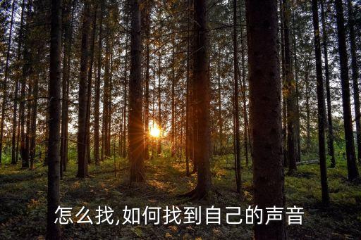 怎么找,如何找到自己的声音