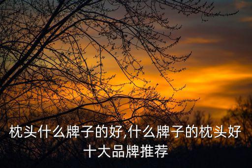 枕头什么牌子的好,什么牌子的枕头好十大品牌推荐