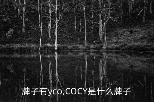 哪个牌子有yco,COCY是什么牌子?