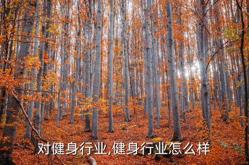 对健身行业,健身行业怎么样