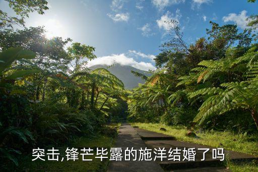 雷霆突击,锋芒毕露的施洋结婚了吗?