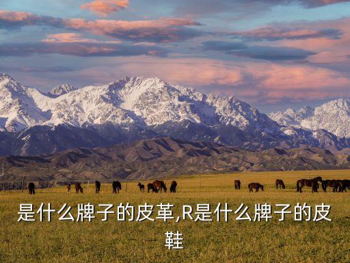 是什么牌子的皮革,R是什么牌子的皮鞋