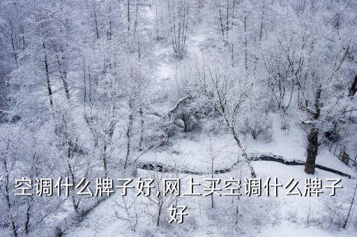 网购空调什么牌子好,网上买空调什么牌子好?