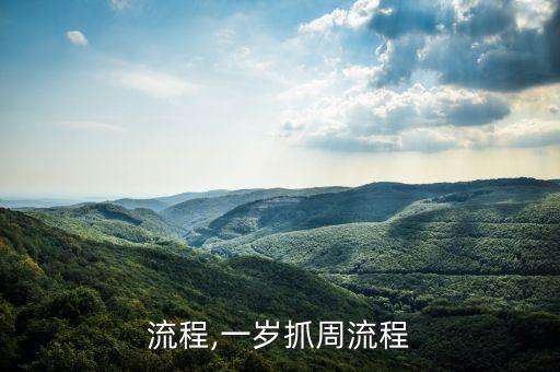 流程,一岁抓周流程