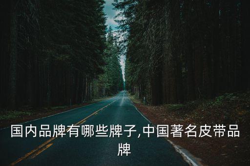 皮带国内品牌有哪些牌子,中国著名皮带品牌